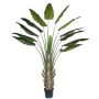 Eliconia di simulazione KASIYA, verde, 300cm