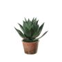 Agave americana artificiale KENNO, fioriera, grigio-verde, 27 cm