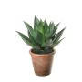 Agave americana artificiale KENNO, fioriera, verde, 27cm
