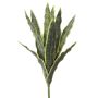 Sansevieria decorativa LIVIANA, gambo, verde-giallo, 50cm