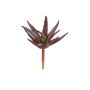 Agave decipiens artificiale KIANU, gambo, verde bordeaux, 9 cm