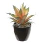 Agave americana artificiale KOSEY, fioriera, verde salmone, 16 cm