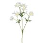Ramo di fiori artificiali scabiosa FROSA, bianco, 65 cm