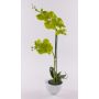 Orchidea phalaenopsis artificiale AURELIA im vaso di ceramica, verde, 55cm