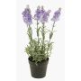 Lavanda finta LOUISE in vaso decorativo, viola chiaro, 30cm, Ø3cm