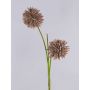 Allium artificiale CHIRARA, marrone, 90cm, Ø10cm