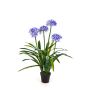 Giglio africano finto SAKILE, blu-lilla, 100cm, Ø11cm