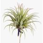 Tillandsia artificiale PENNY, su gambo, verde-rosso, 12cm, Ø10cm