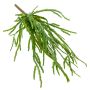 Rhipsalis pensile artificiale HADRIAN, su stelo, verde, 35cm