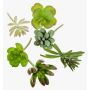 Set di succulente finte JADON gambo, 6 pz, multicolore, 13cm, Ø5cm