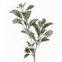 Ramo di stachys finto LEVIN, grigio-verde, 70cm