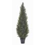 Cedro sintetico EDELA uv resistente, verde, 150cm