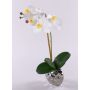 Orchidea phalaenopsis artificiale EMILIA, vaso di ceramica, bianco, 45cm
