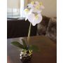 Orchidea phalaenopsis artificiale EMILIA, vaso di ceramica, bianco, 45cm
