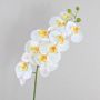 Orchidea Phalaenopsis finta OPHELIA, bianco, 100cm, Ø12cm