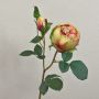 Rosa centifolia artificiale MIRETTA, verde-bordeaux, 60cm, Ø3-9cm