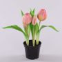 Tulipano artificiale CAITLYN in vaso decorativo, rosa-verde, 25cm, Ø2-6cm
