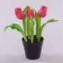 Tulipano artificiale CAITLYN in vaso decorativo, fucsia-verde, 25cm, Ø2-6cm