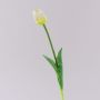 Tulipano artificiale LONA, bianco-verde, 45cm, Ø4cm