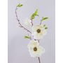 Ramo di magnolia finta FINAH, crema-bianco, 90cm, Ø9-15cm