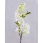 Ramo di ciliegio finto MATSUDA con fiori, crema-bianco, 80cm