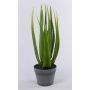 Aloe sintetico NAMIKA, in vaso decorativo, verde, 60cm, Ø30cm