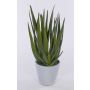 Aloe sintetico NAMIKA, in vaso di cemento, verde, 40cm, Ø20cm