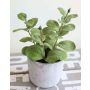 Menta artificiale ALBUS in vaso di cemento, verde, 17cm