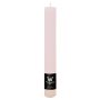 Candela a bastoncino AURORA, rosa chiaro, 20 cm, Ø 3,5 cm, 23 h - Made in Germany
