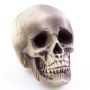 Teschio per decorazione di Halloween MATTY, beige-grigio, LED, 21x15x16cm