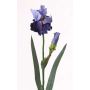 Iris artificiale ALYSSA, blu, 70cm, Ø13cm