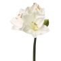Amaryllis artificiale BENITA, bianco, 55cm, Ø10cm