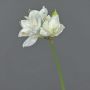 Amaryllis artificiale BENITA, bianco, 55cm, Ø10cm