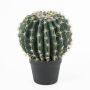 Cactus finto ELVIO, vaso decorativo, verde-giallo, 35cm, Ø25cm