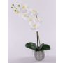 Orchidea Phalaenopsis artificiale EMILIA, vaso decorativo, bianco, 45cm