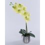 Orchidea Phalaenopsis artificiale EMILIA, vaso decorativo, crema-verde, 45cm