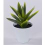 Aloe Vera artificiale ROSALINA in vaso di ceramica, verde, 21cm