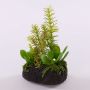 Composizione di succulente artificiali BAMBI con terriccio, verde, 19cm