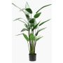 Heliconia finto ANURIA, verde, 125cm