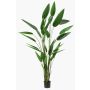 Heliconia finto ANURIA, verde, 220cm