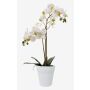Orchidea finta CANDIDA in vaso di ceramica, bianco, 65cm, Ø7-8cm