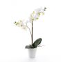Orchidea finta CANDIDA in vaso di ceramica, bianco, 65cm, Ø7-8cm