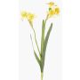 Narciso artificiale NEELA, giallo, 50cm, Ø6cm