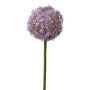 Fiore di allium artificiale SAMARA, lilla, 75cm, Ø12cm