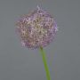 Fiore di allium artificiale SAMARA, lilla, 75cm, Ø12cm