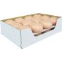 Set di 24 candele galleggianti ORNELLA, pesca pastello, 2,8cm, Ø4,5cm, 4h