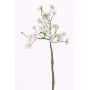 Margherita artificiale BELINA, bianco, 30cm, Ø1-1,5cm