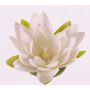 Ninfea finta SCILLA, galleggiante, crema, 4cm, Ø16cm