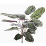 Calatea artificiale BRIHANNA su stelo, verde, 75cm