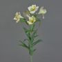 Alstroemeria artificiale AUBERTA, verde-bianco, 75cm, Ø6cm